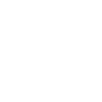Wellsford Plus