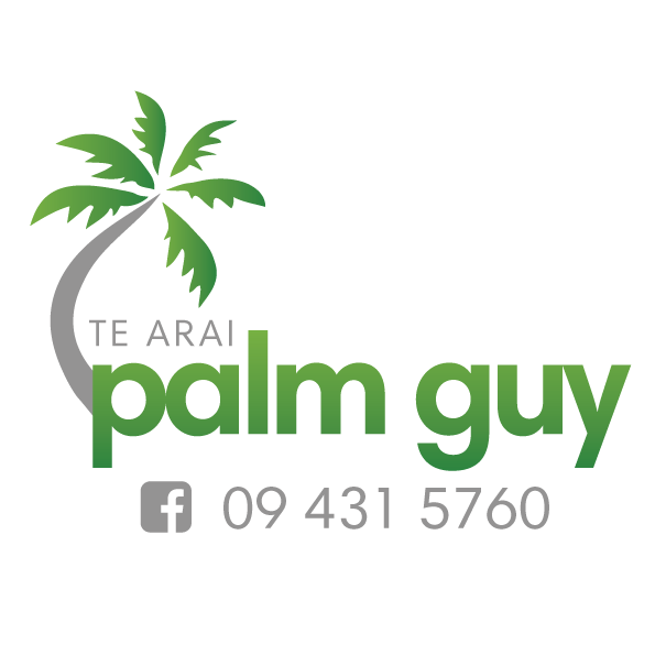 Te Arai Palm Guy